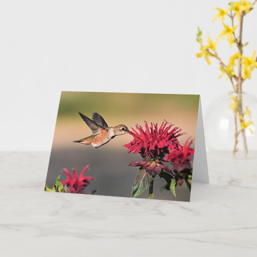 Rufous Hummingbird Kaart (Gele Bloem)