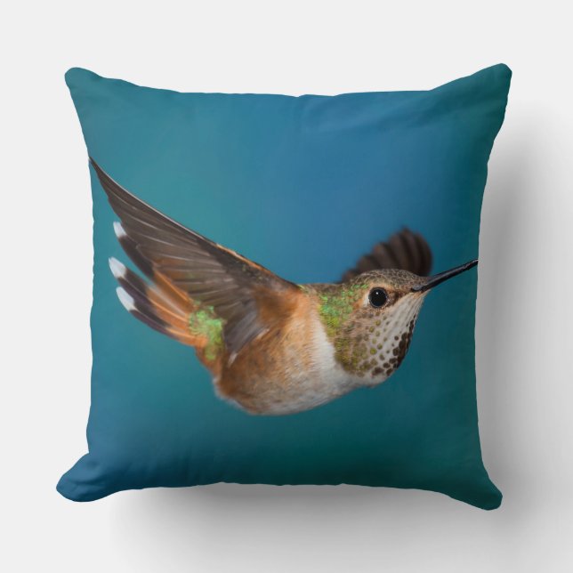 Rufous Hummingbird Kussen (Voorkant)