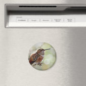 Rufous Hummingbird Lounge Magneet (Insitu (Vaatwasser))