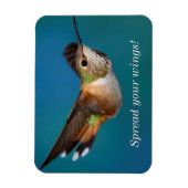 Rufous Hummingbird Magneet (Verticaal)