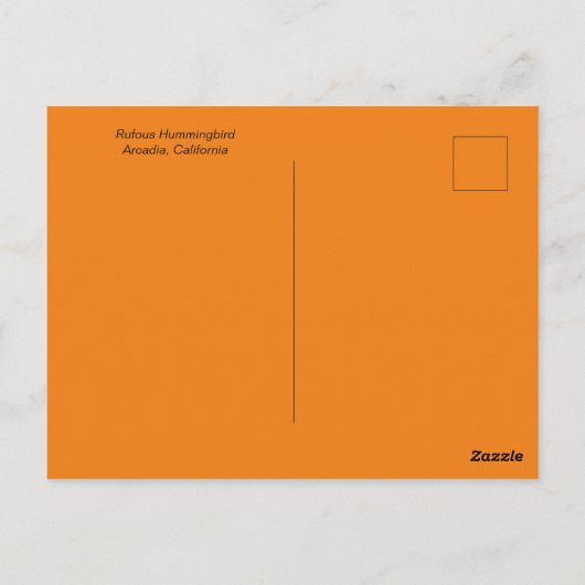 Rufous Hummingbird met Ruffled Feathers Briefkaart (Achterkant)