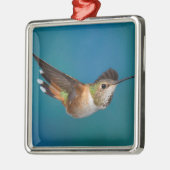 Rufous Hummingbird Metalen Ornament (Links)