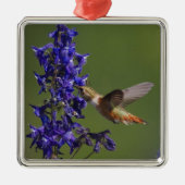 Rufous Hummingbird Metalen Ornament (Voorkant)