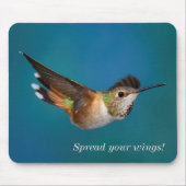Rufous Hummingbird Muismat (Voorkant)