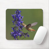 Rufous Hummingbird Muismat (Met muis)