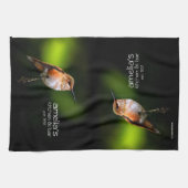 Rufous Hummingbird on the Hybrid Fruit Tree Theedoek (Horizontaal)