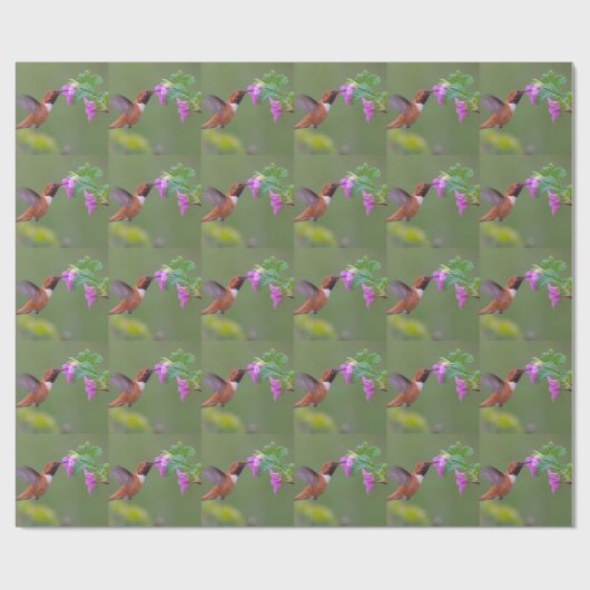 Rufous Hummingbird on Wild Roos Cadeaupapier (Vlak)