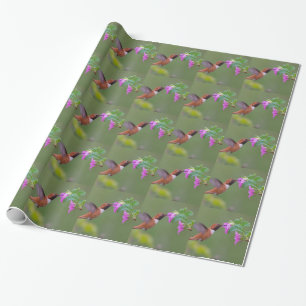 Rufous Hummingbird on Wild Roos Cadeaupapier