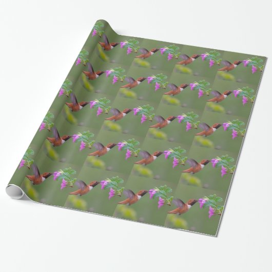 Rufous Hummingbird on Wild Roos Cadeaupapier (Uitgerold)