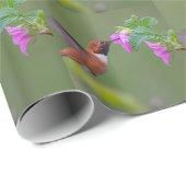 Rufous Hummingbird on Wild Roos Cadeaupapier (Rol Hoek)