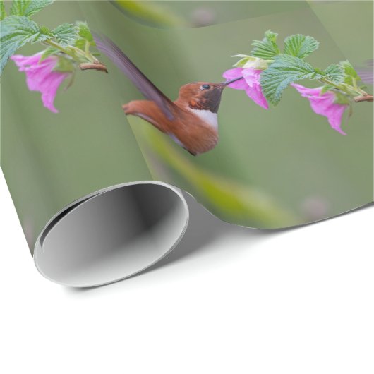 Rufous Hummingbird on Wild Roos Cadeaupapier (Rol Hoek)