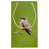 Rufous Hummingbird op California Lila Branch Klein Cadeauzakje (Achterkant)