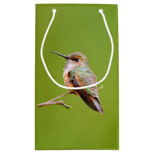 Rufous Hummingbird op California Lila Branch Klein Cadeauzakje (Achterkant)