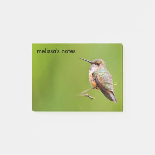 Rufous Hummingbird op California Lila Branch Post-it® Notes (Voorkant)