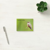 Rufous Hummingbird op California Lila Branch Post-it® Notes (Kantoor)