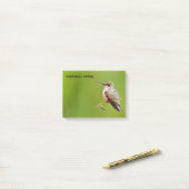 Rufous Hummingbird op California Lila Branch Post-it® Notes (Op bureau)