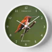 Rufous Hummingbird op de Cherry Tree (Voorkant)