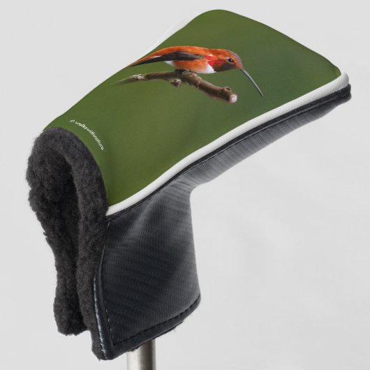 Rufous Hummingbird op de Cherry Tree Golfheadcover (3/4 voorkant)