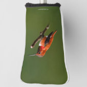 Rufous Hummingbird op de Cherry Tree Golfheadcover (Draai 90)