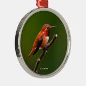 Rufous Hummingbird op de Cherry Tree Metalen Ornament (Rechts)