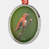 Rufous Hummingbird op de Cherry Tree Metalen Ornament (Links)