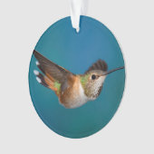 Rufous Hummingbird Ornament (voorkant)