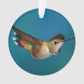 Rufous Hummingbird Ornament (voorkant)