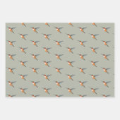 Rufous Hummingbird Patroon Inpakpapier Vel (Voorkant 2)