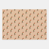 Rufous Hummingbird Pattern Inpakpapier Vel (Voorkant 3)