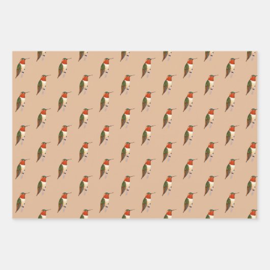 Rufous Hummingbird Pattern Inpakpapier Vel (Voorkant 3)
