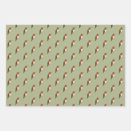 Rufous Hummingbird Pattern Inpakpapier Vel (Voorkant 2)