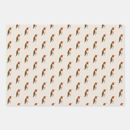 Rufous Hummingbird Pattern Inpakpapier Vel (Voorkant)