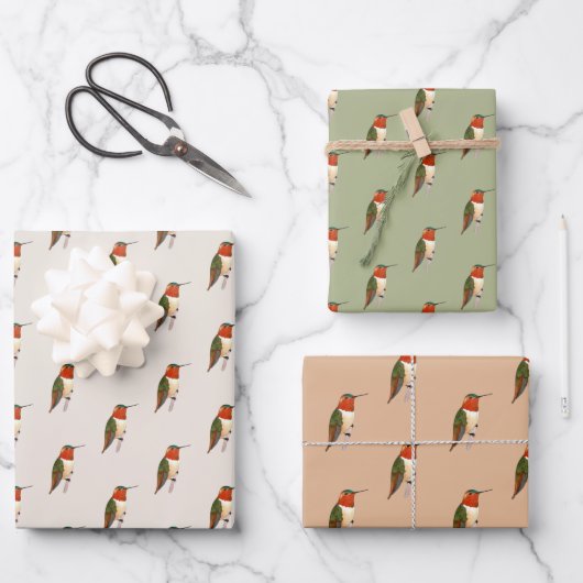 Rufous Hummingbird Pattern Inpakpapier Vel (Voorkant)