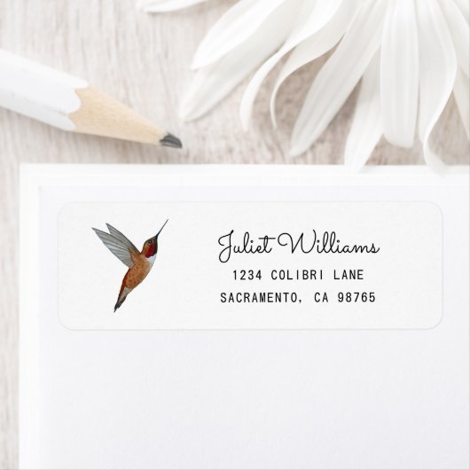Rufous Hummingbird Return Address Label (Insitu)