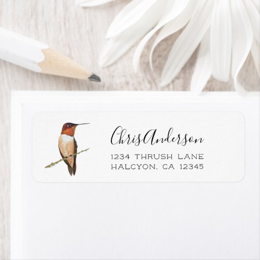 Rufous Hummingbird Return Address Label (Insitu)