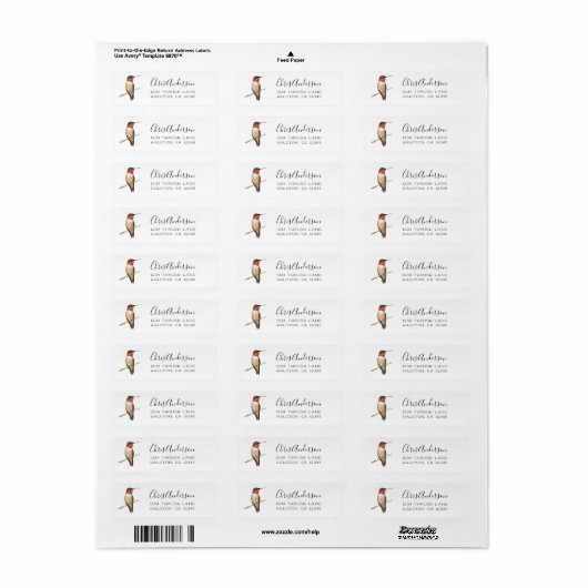 Rufous Hummingbird Return Address Label (Full Sheet)