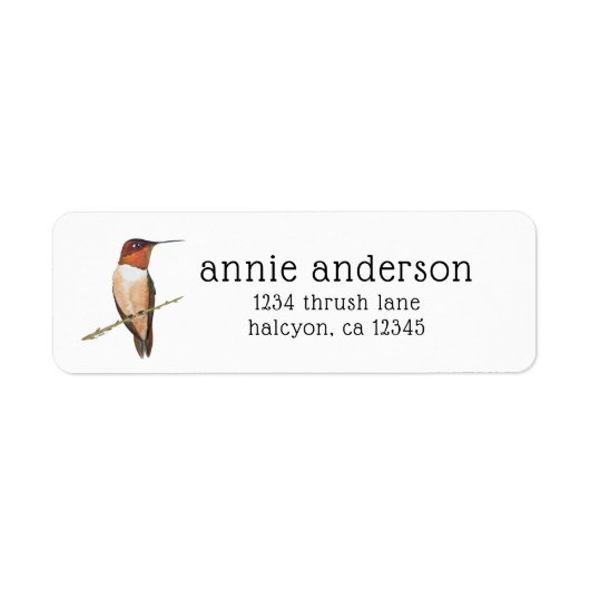Rufous Hummingbird Return Address Label (Voorkant)