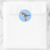 Rufous Hummingbird Ronde Sticker (Tas)