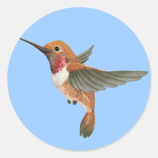 Rufous Hummingbird Ronde Sticker (Voorkant)
