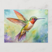 Rufous Hummingbird schilderij Briefkaart (Voorkant)