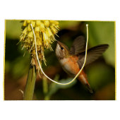 Rufous Hummingbird Sipping Kniphofia Nectar Groot Cadeauzakje (Achterkant)