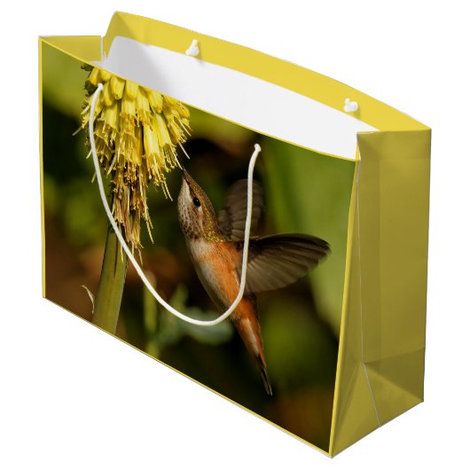 Rufous Hummingbird Sipping Kniphofia Nectar Groot Cadeauzakje (Achterkant Gekanteld)