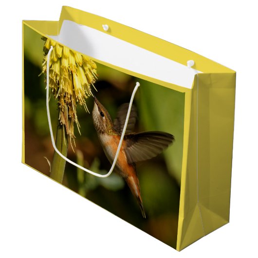 Rufous Hummingbird Sipping Kniphofia Nectar Groot Cadeauzakje (Voorkant Gekanteld)
