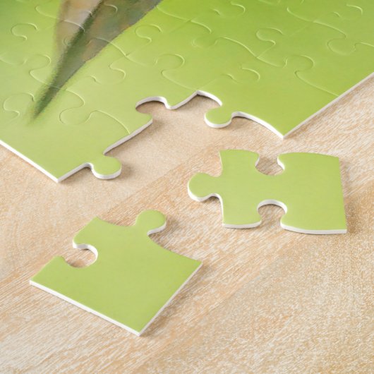 Rufous Hummingbird Sips Blueberry Blossom Nectar Legpuzzel (Zijkant)