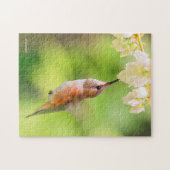 Rufous Hummingbird Sips Blueberry Blossom Nectar Legpuzzel (Horizontaal)