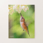 Rufous Hummingbird Sips Blueberry Blossom Nectar Legpuzzel (Verticaal)