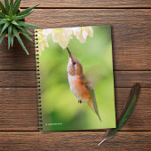 Rufous Hummingbird Sips Blueberry Blossom Nectar Notitieboek