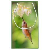Rufous Hummingbird Sips Blueberry Flower Nectar Klein Cadeauzakje (Achterkant)