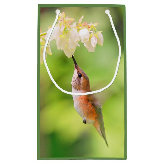 Rufous Hummingbird Sips Blueberry Flower Nectar Klein Cadeauzakje (Achterkant)