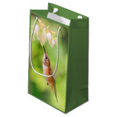 Rufous Hummingbird Sips Blueberry Flower Nectar Klein Cadeauzakje (Achterkant Gekanteld)